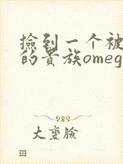 捡到一个被抹布的贵族omega