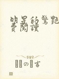 明星的惊艳史免费阅读