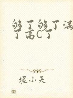 够了够了满到C了高C了
