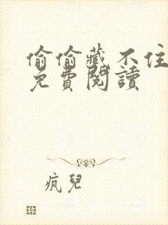 偷偷藏不住小说免费阅读