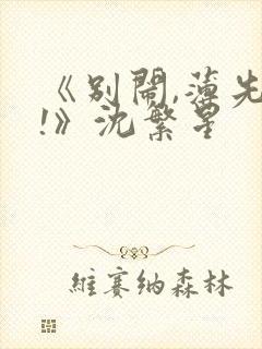 《别闹,薄先生!》沈繁星