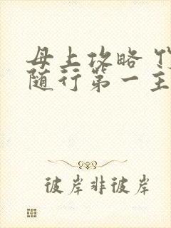 母上攻略 竹影随行第一主板