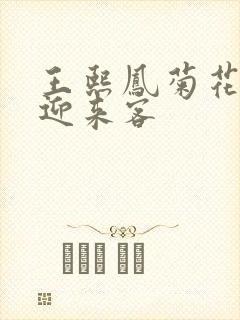 王熙凤菊花门初迎来客