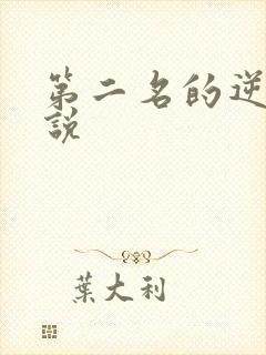 第二名的逆袭小说