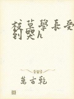 校草学长受被做到哭h