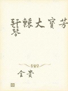 轩辕大宝芳菲雅琴