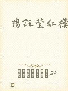 杨钰莹红楼