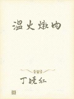 温火炖肉