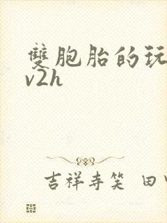 双胞胎的玩具1v2h