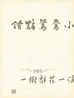 错点鸳鸯小说