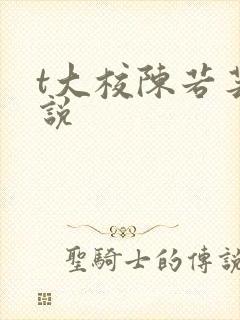 t大校陈若芸小说