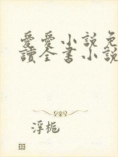 爱爱小说免费阅读全书小说乡村