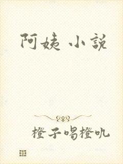 阿姨 小说