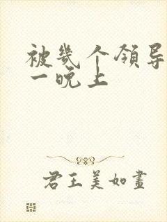 被几个领导玩弄一晚上