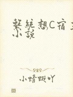 系统想C宿主的小说