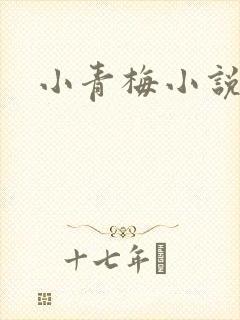 小青梅小说