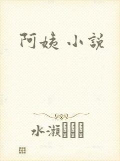 阿姨 小说