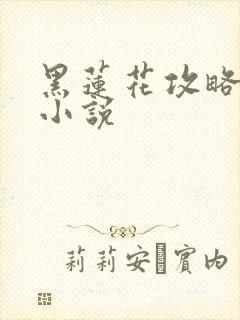 黑莲花攻略手册小说