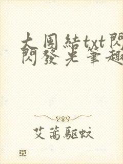 大团结txt闪闪发光笔趣阁