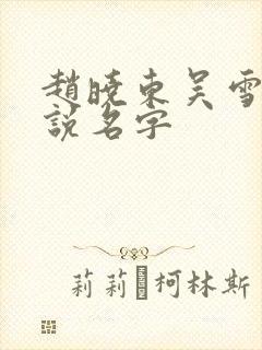 赵晓东吴雪晴小说名字