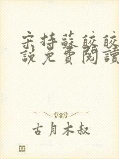 宋持苏皎皎的小说免费阅读