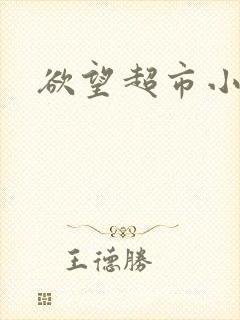 欲望超市小说