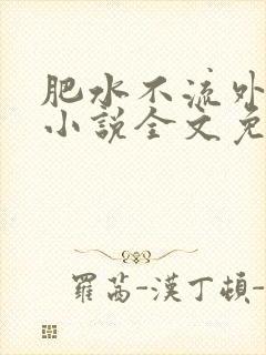 肥水不流外人田小说全文免费阅读1