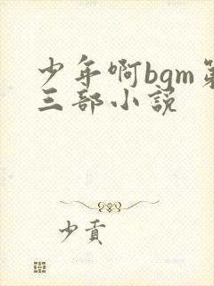 少年啊bgm第三部小说
