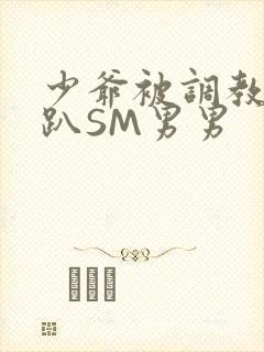 少爷被调教室跪趴SM男男