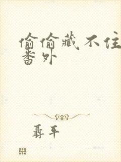 偷偷藏不住新婚番外