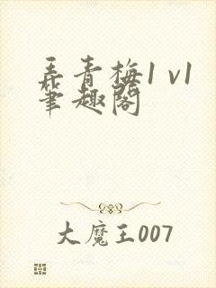 弄青梅1 v1笔趣阁