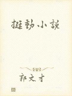 挺动小说