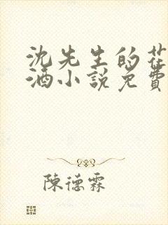 沈先生的花式调酒小说免费阅读