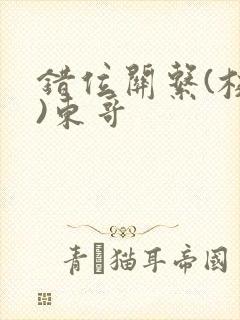 错位关系(校园)东哥