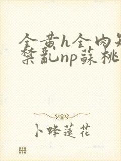 全黄h全肉短篇禁乱np苏桃