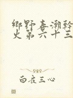 乡野春潮干柴烈火第六十三章