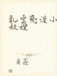 乱云飞渡小说之姣嫂