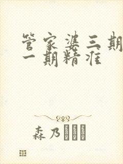 管家婆三期必开一期精准