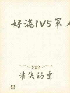 好满1V5军人