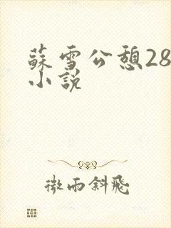 苏雪公憩28篇小说
