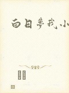 白日梦我小说