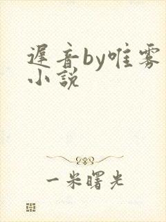 迟音by唯雾的小说