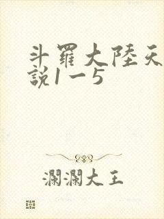 斗罗大陆天狂传说1一5