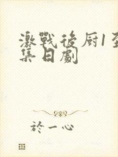 激战后厨1至5集日剧