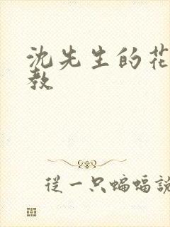 沈先生的花式调教