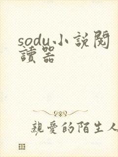sodu小说阅读器