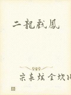 二龙戏凤