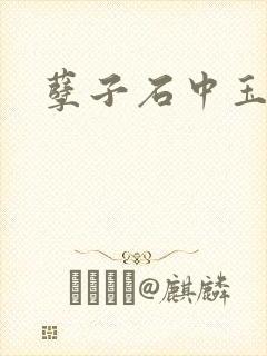 孽子石中玉