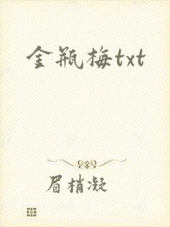 金瓶梅txt