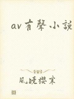 av有声小说